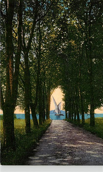 Vidy Lausanne Lac Leman VD Promenade Allee