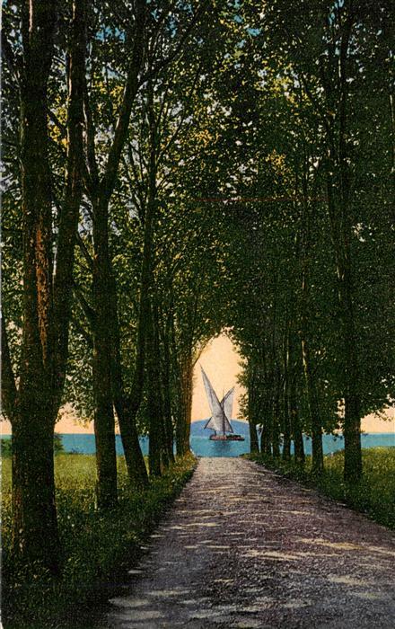 Vidy Lausanne Lac Leman VD Promenade Allee