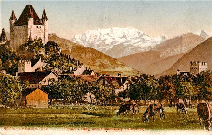 Thun BE Burg und Blueemlisalp