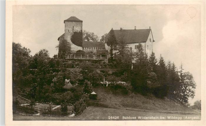 Wildegg AG Schloss Wildenstein