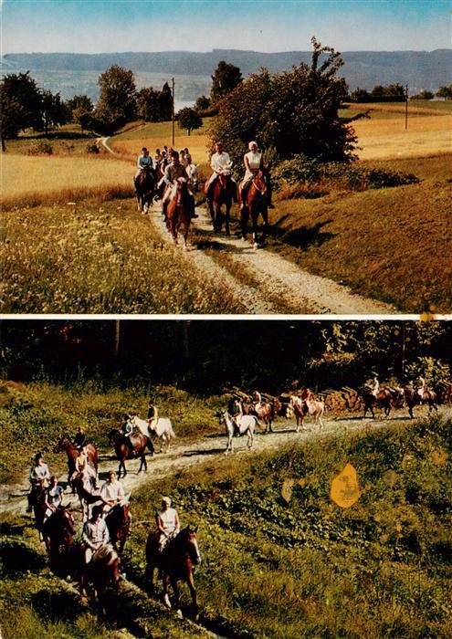 Hemmenhofen Bodensee Kur und Sporthotel Hoeri Ausritte