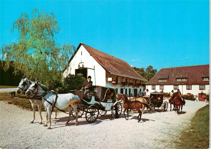 Eigeltingen Hotel Restaurant Zur Lochmuehle Pferdekutschen