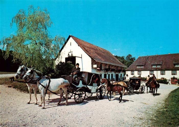 Eigeltingen Hotel Restaurant Zur Lochmuehle Pferdekutschen