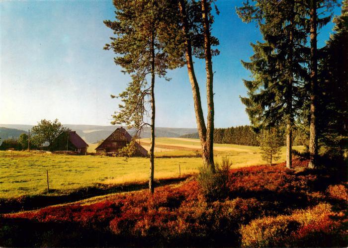 Oberkirnach Panorama