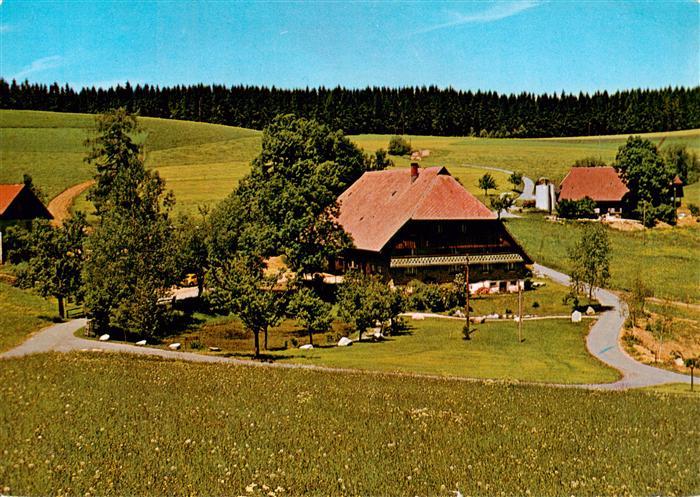 Brigach Hirzbauernhof Brigachquelle