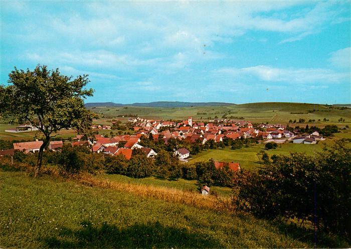 Riedboehringen Panorama