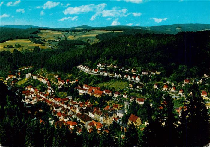 Triberg Fliegeraufnahme