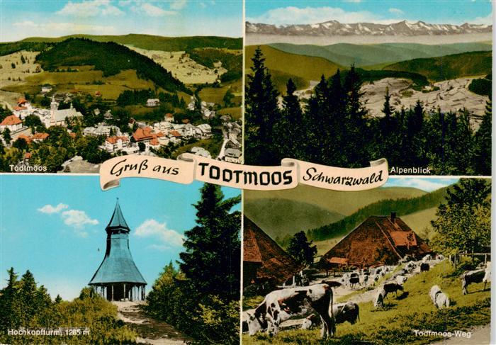 Todtmoos Schwarzwald BW Panorama Alpenblick Hochkopfturm Todtmoos Weg