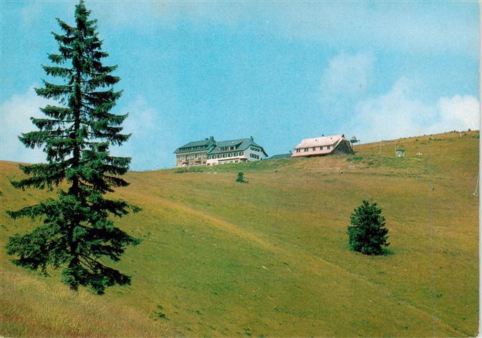 Wieden Schwarzwald Wissler Berghotels Berghotel Wiedener Eck