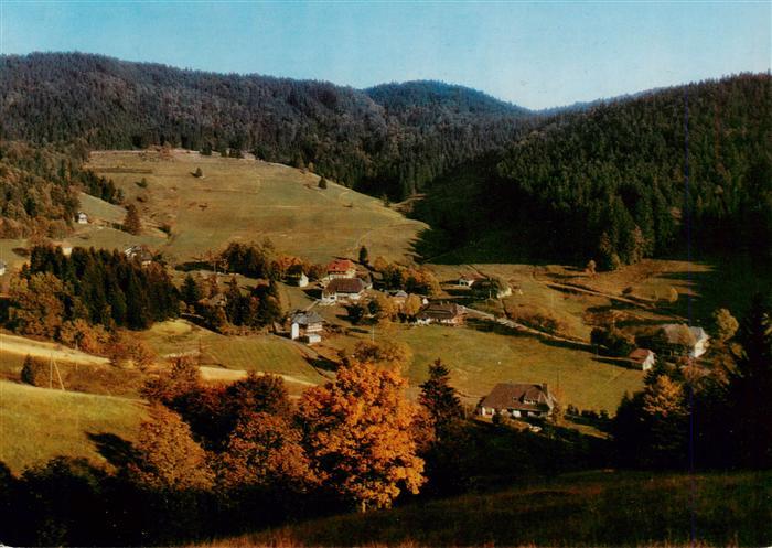 Ruette Todtmoos Fliegeraufnahme