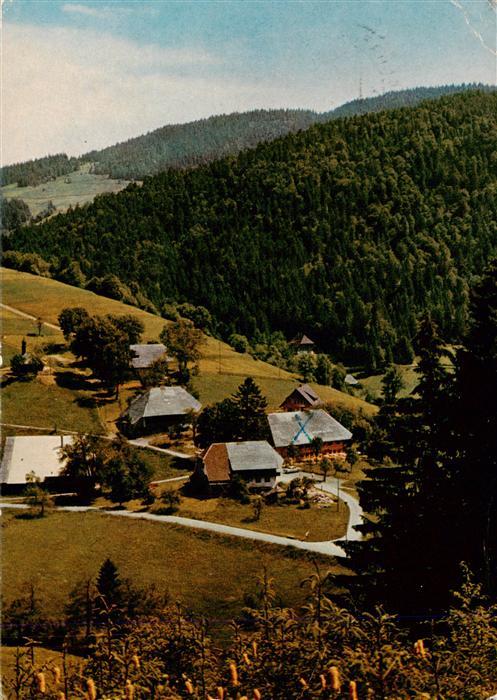 Strick-Todtmoos Gasthof Pension Roessle Fliegeraufnahme