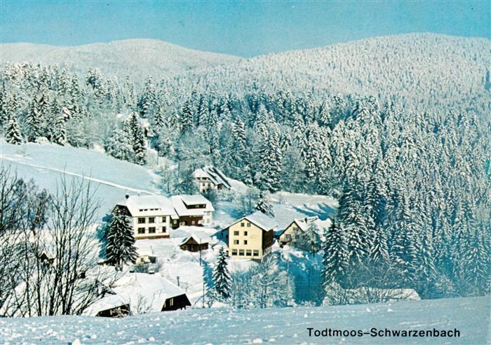 Schwarzenbach Todtmoos Winterpanorama