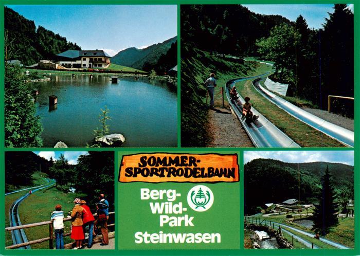 Todtnau Schwarzwald BW Berg Wildpark Steinwasen Seepartie Sommerrodelbahn
