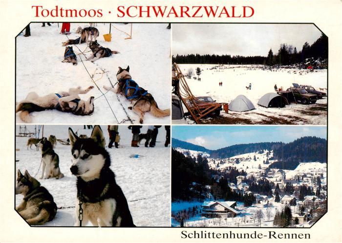 Todtmoos Schwarzwald BW Schlittenhunde Rennen Panorama