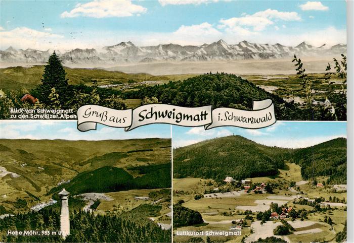 Schweigmatt Schopfheim Panorama mit Schweizer Alpen Hohe Moehr