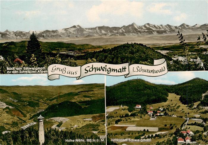 Schweigmatt Schopfheim Panorama mit Schweizer Alpen Hohe Moehr Fliegeraufnahme