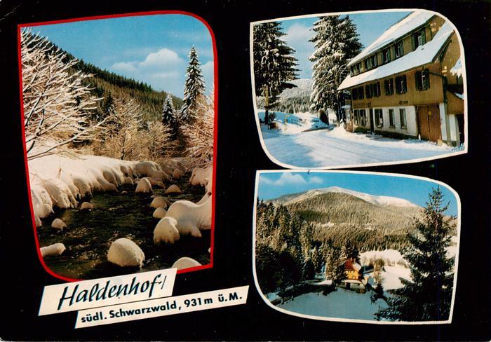 Neuenweg Gasthof Haldenhof Panorama