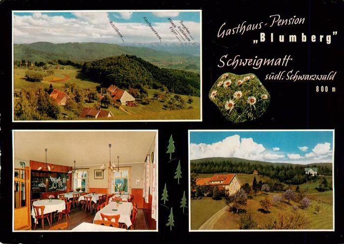 Schweigmatt Schopfheim Gasthaus Pension Blumberg Panorama Gastraum