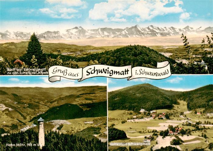 Schweigmatt Schopfheim Panorama mit Schweizer Alpen Hohe Moehr Aussichtsturm