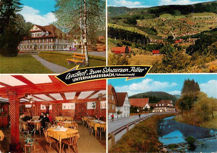 Unterharmersbach Gasthof Zum Schwarzen Adler Gastram Panorama