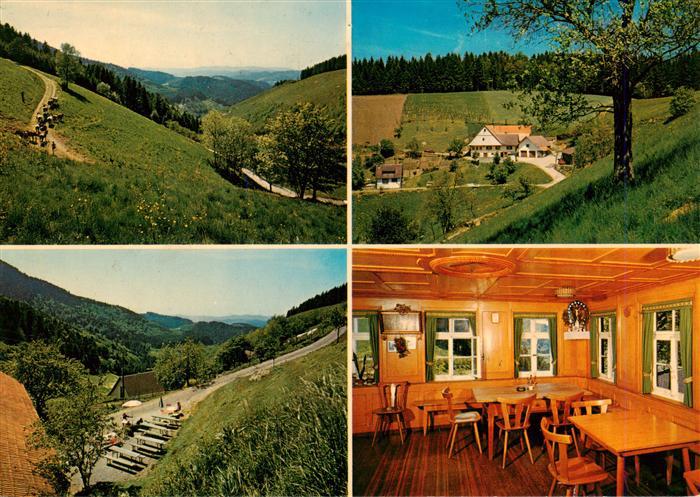 Oberharmersbach Harkhof Gastraum Panorama