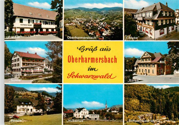 Oberharmersbach Freihof Panorama Gasthaeuser Stube Sonne Baeren Forelle Hubertus