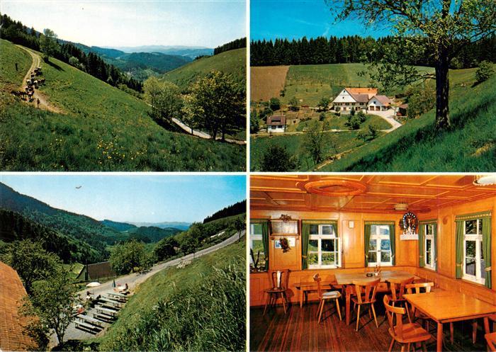 Oberharmersbach Harkhof Gaststube Panorama