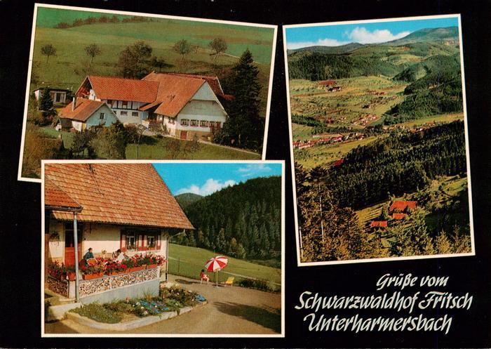 Unterharmersbach Schwarzwaldhof Fritsch