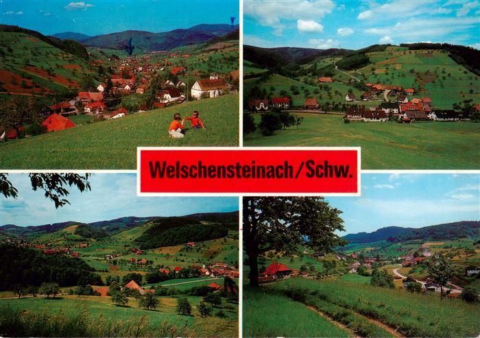 Welschensteinach Steinach Panorama Teilansichten