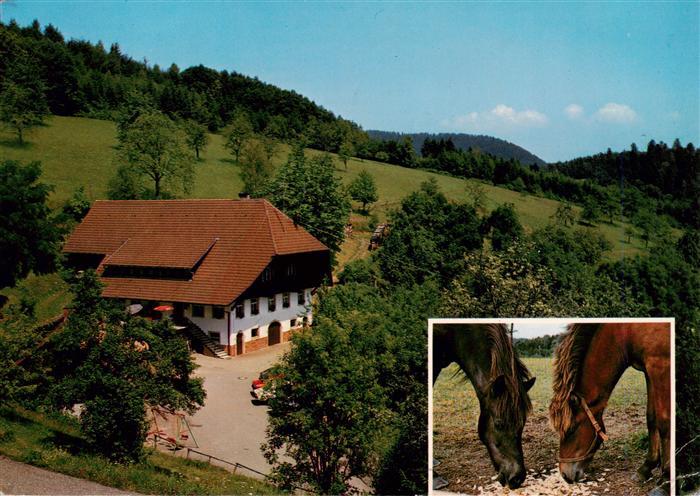 Nordrach Ferienhof Braun Pferde