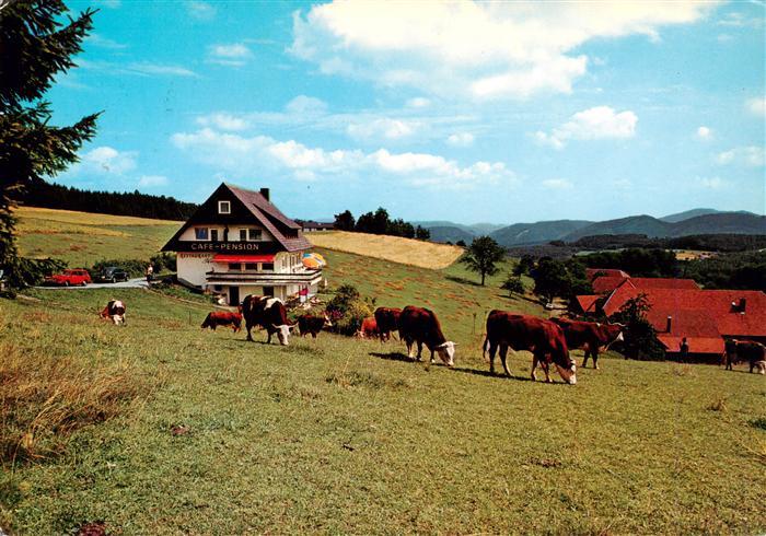 Muehlenbach Wolfach Kinzigtal Baden Cafe Pension Pfaus