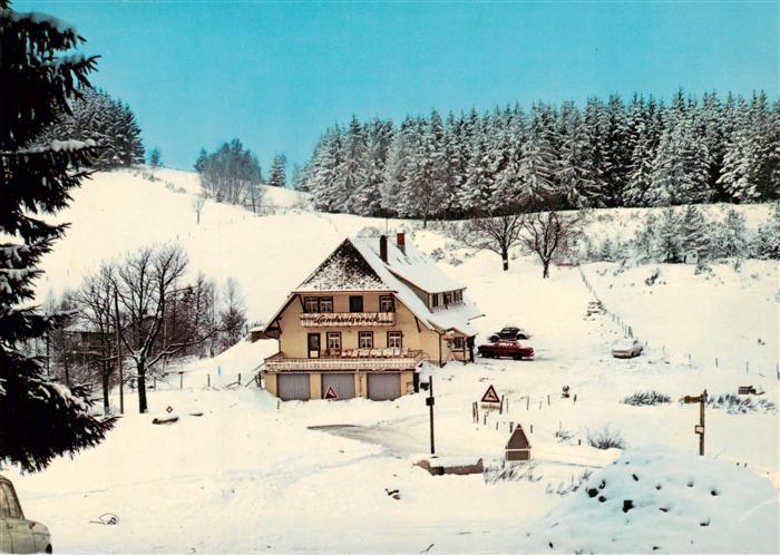 Oberprechtal Elzach Elztal BW Hoehengasthaus Pension Landwassereck