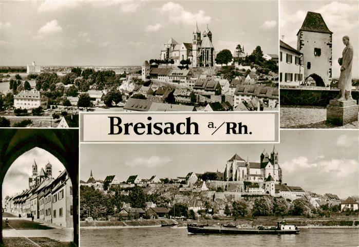Breisach Rhein Panorama Stephansmuenster Tordurchblick Rheinpartie