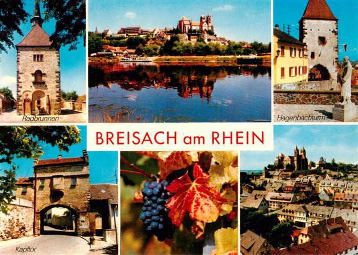 Breisach Rhein Radbrunnen Stephansmuenster Hagenbachturm Kapftor Panorama