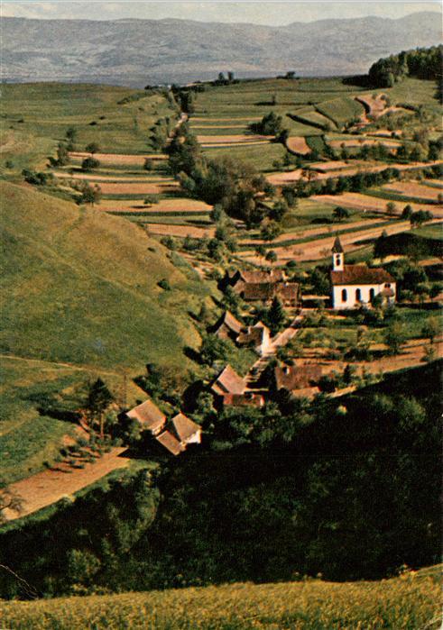 Breisach Rhein Fliegeraufnahme mit Kirche