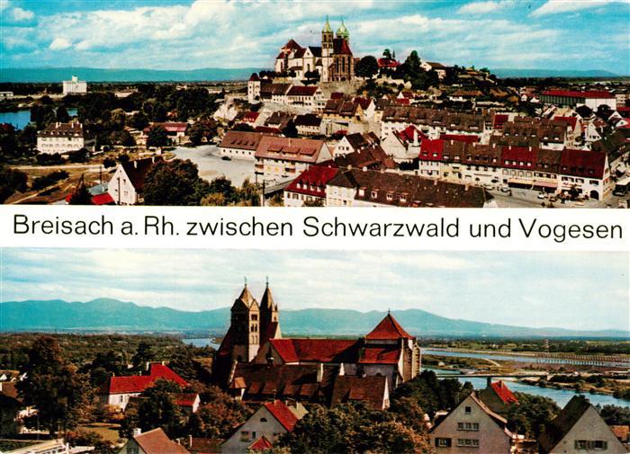 Breisach Rhein Panorama mit Stephansmuenster