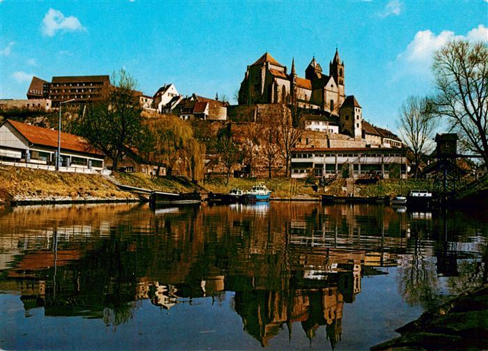 Breisach Rhein Rheinpartie mit Stephansmuenster
