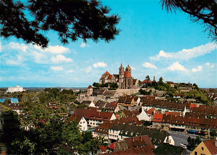 Breisach Rhein Panorama mit Stephansmuenster
