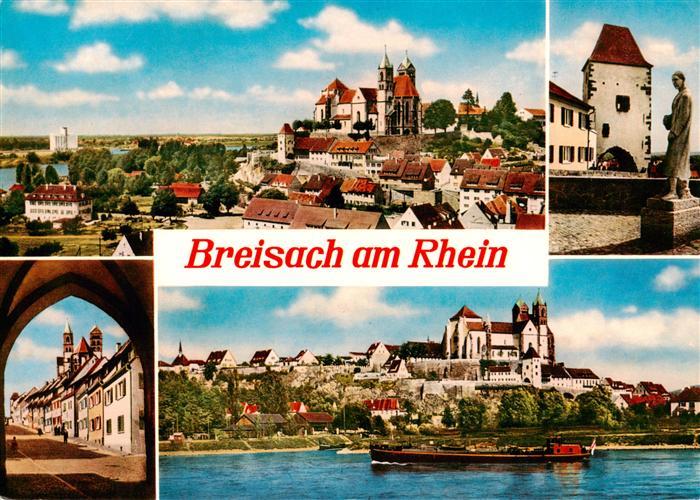 Breisach Rhein Stadtpanorama Blick zum Muenster