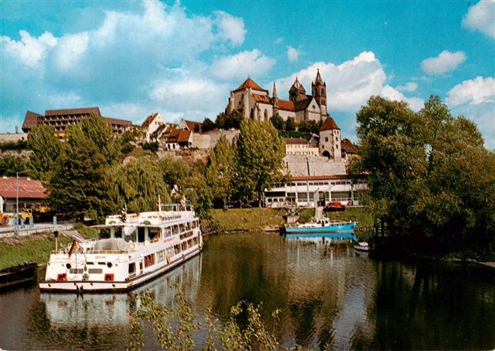 Breisach Rhein Fahrgastschiff Blick zum St. Stephansmuenster