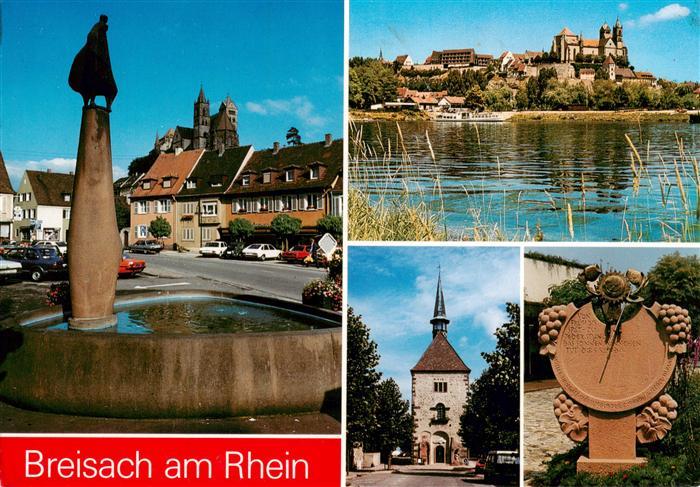 Breisach Rhein Partie am Rhein Blick zum St. Stephansmuenster Brunnen