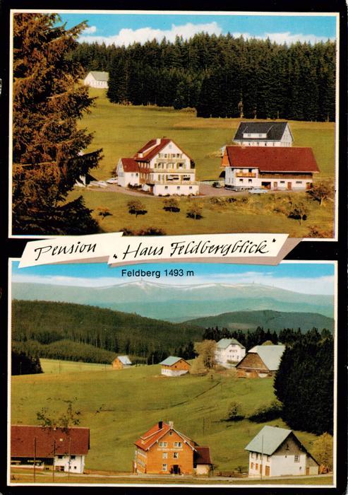 Titisee-Neustadt Pension Haus Feldbergblick mit Feldberg