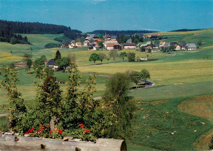 Waldau Neustadt Gasthof Pension Sonne Post Panorama
