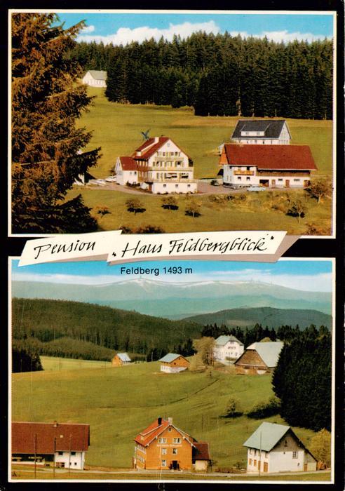 Schwaerzenbach Titisee-Neustadt Pension Haus Feldbergblick mit Feldberg