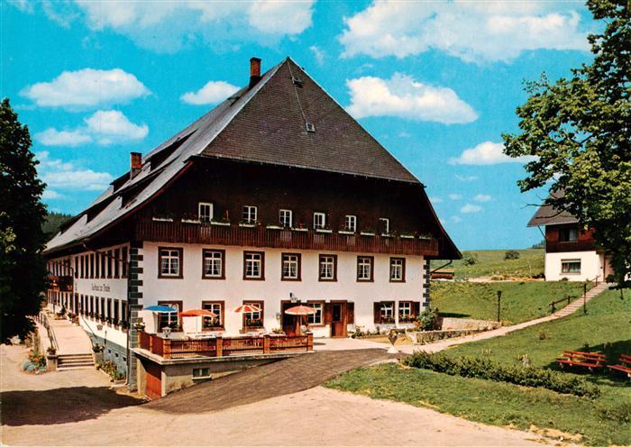 Waldau Neustadt Schwarzwald Gasthof Traube