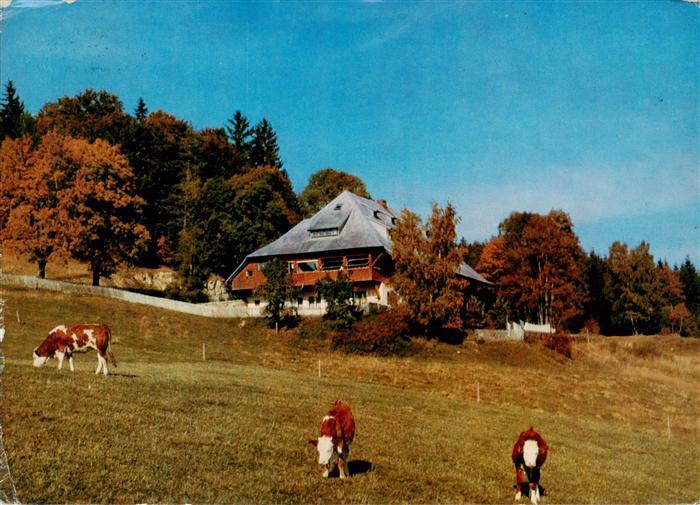 Titisee-Neustadt Jugendherberge Titisee