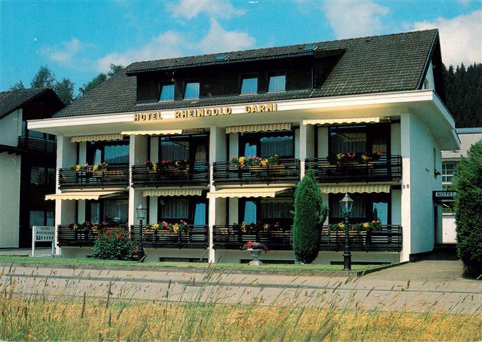 Titisee-Neustadt Hotel Rheingold Garni