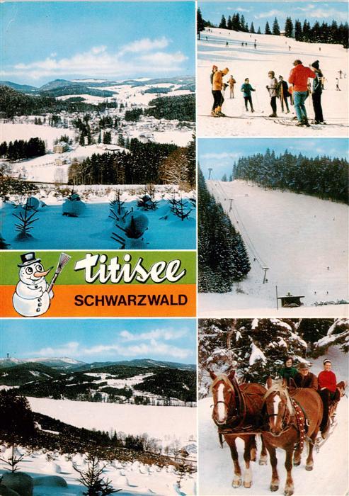 Titisee-Neustadt Panorama Skipiste Skilift Pferdeschlitten