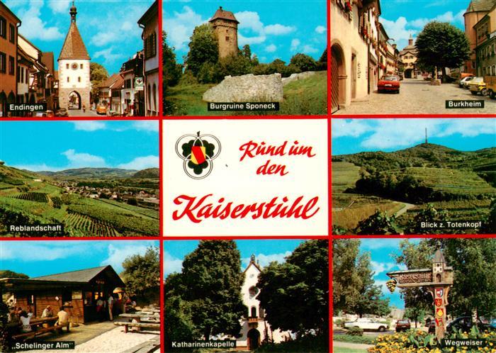 Kaiserstuhl Region Endingen Burgruine Sponeck Burkheim Reblandschaft Totenkopf S