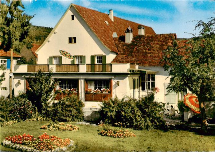 Bickensohl Vogtsburg Kaiserstuhl Winzerhaus Rebstock